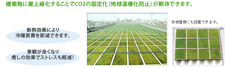 建築物に屋上緑化することでCO2の固定化（地球温暖化防止）が期待できます。